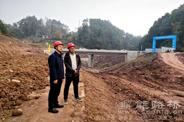 鼎能路桥到高新区龙船溪项目检查指导工作