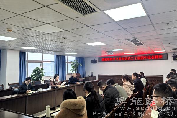 深学细悟明方向 笃行实干促发展——鼎能路桥专题学...