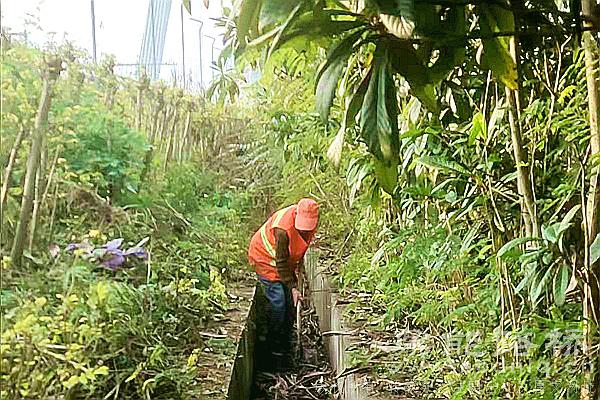 鼎能路桥：清理桥头排水沟 筑牢出行安全线