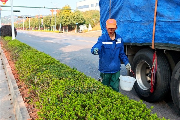高新管养项目推进春季市政管护3.13 2_副本.jpg